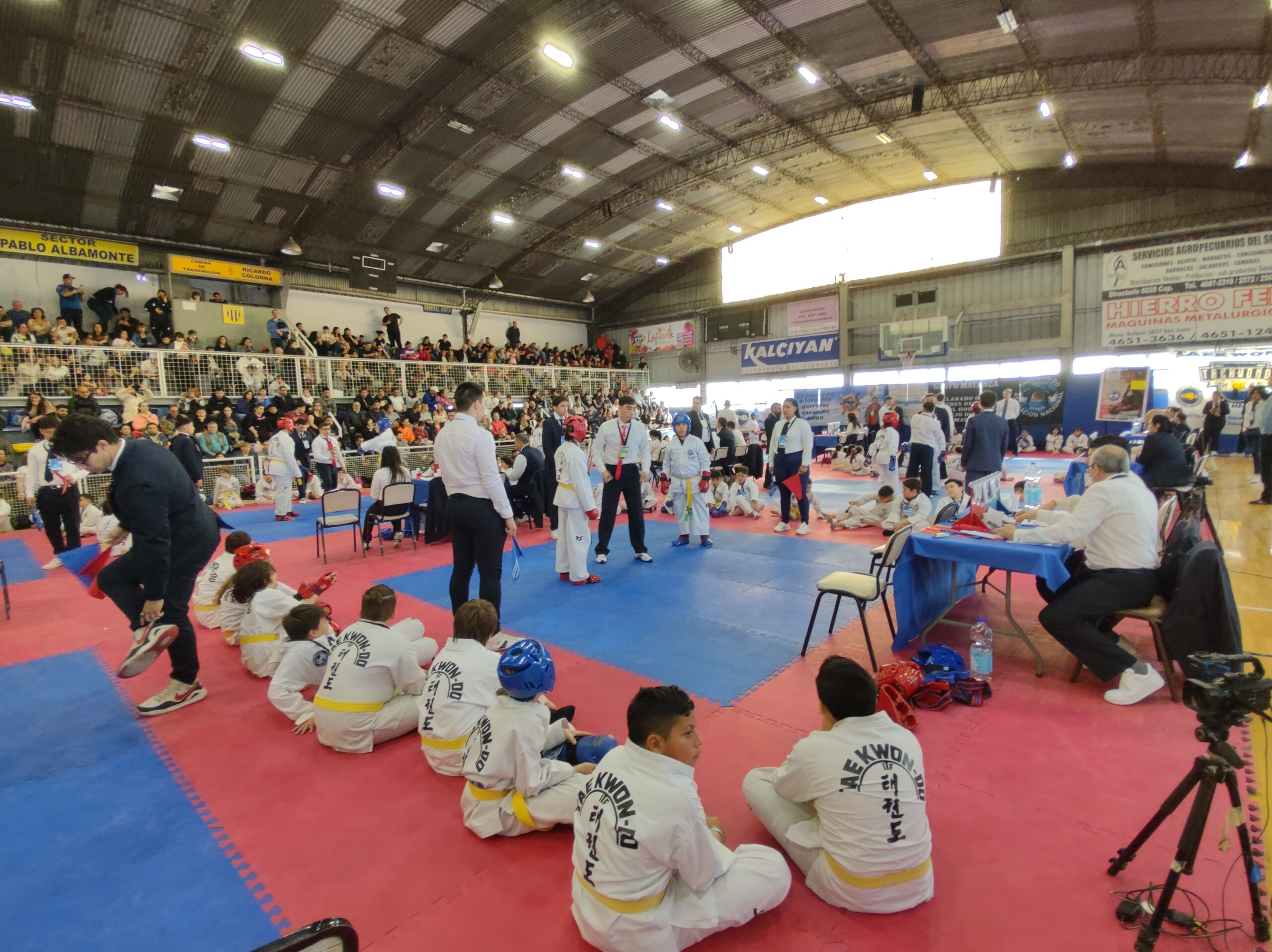 Torneo Nacional – Gups y Danes Infantiles